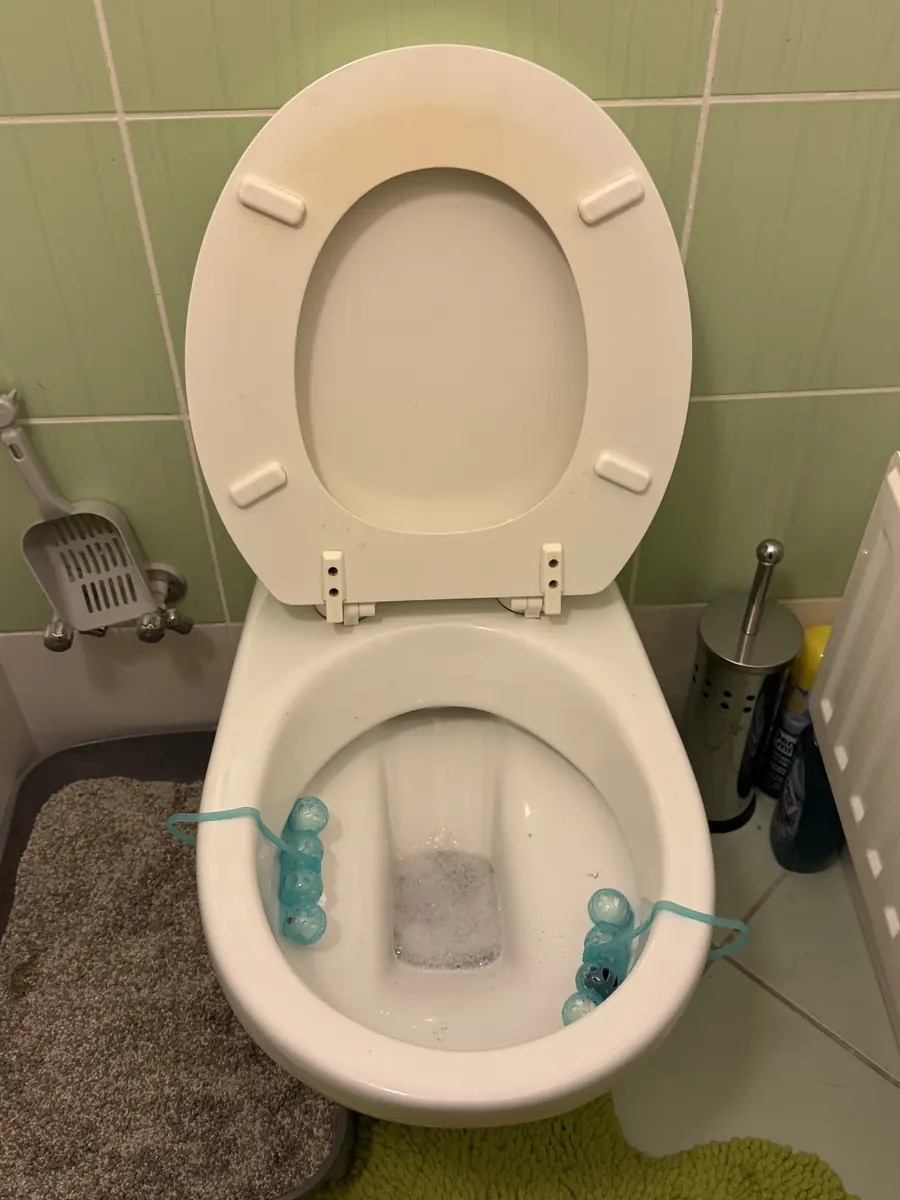 Toilet and surrounding tiling after cleaning