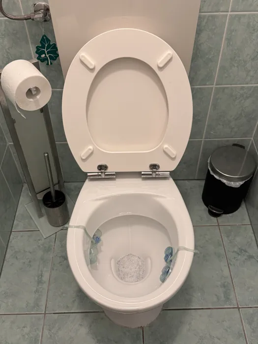 Toilet and tiled floor after a bathroom clean